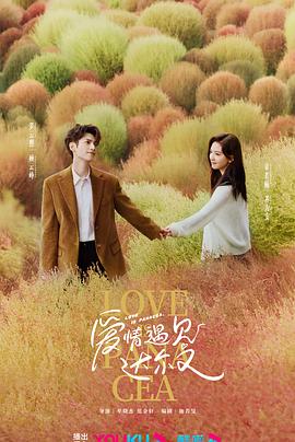 网站优化价格策略研究